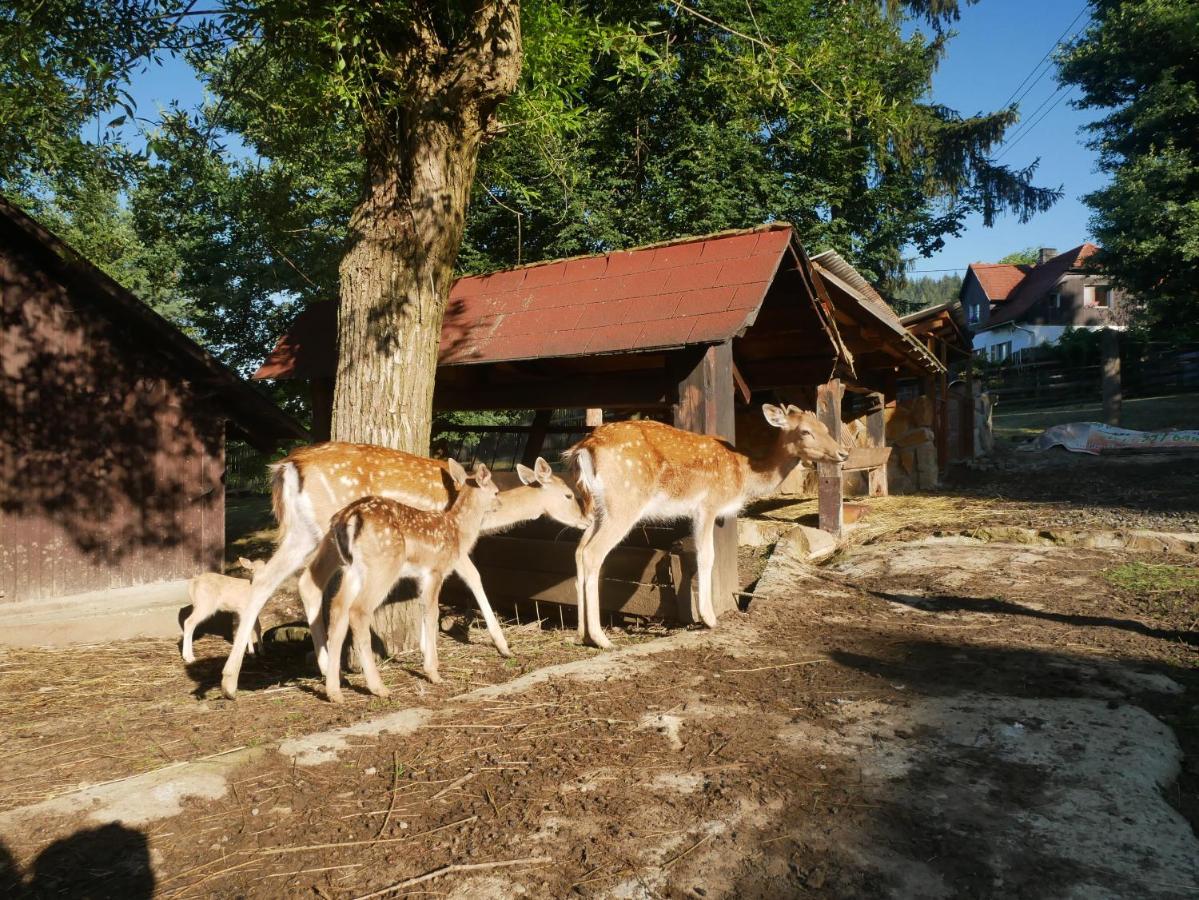 Penzion Obora Prostredni Becva Exterior photo